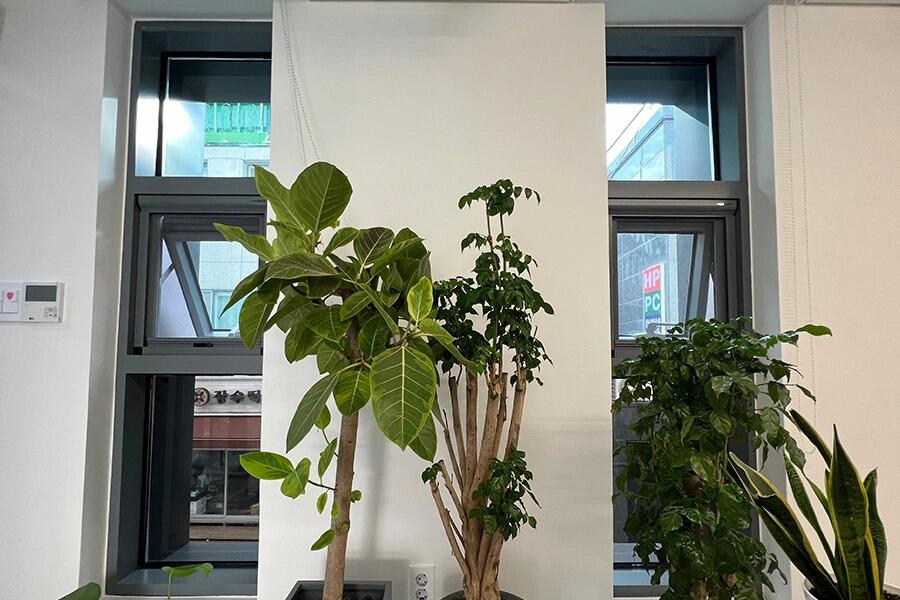 사무실 통유리 창 유리문썬팅 시공 전 사진